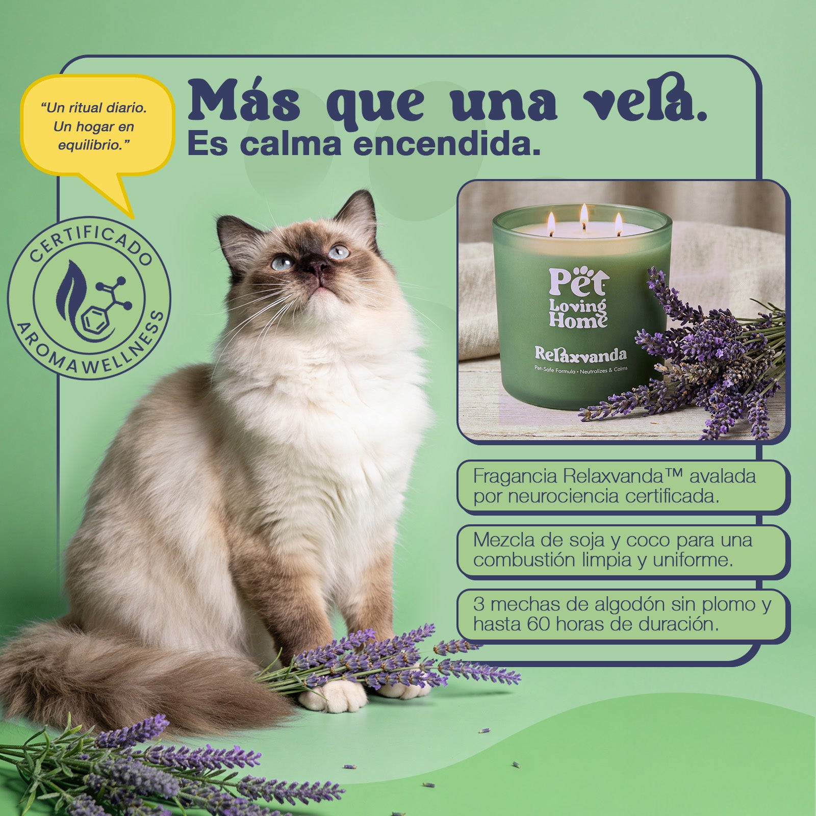 Pack Vela aromática & Home Spray Relaxvanda™