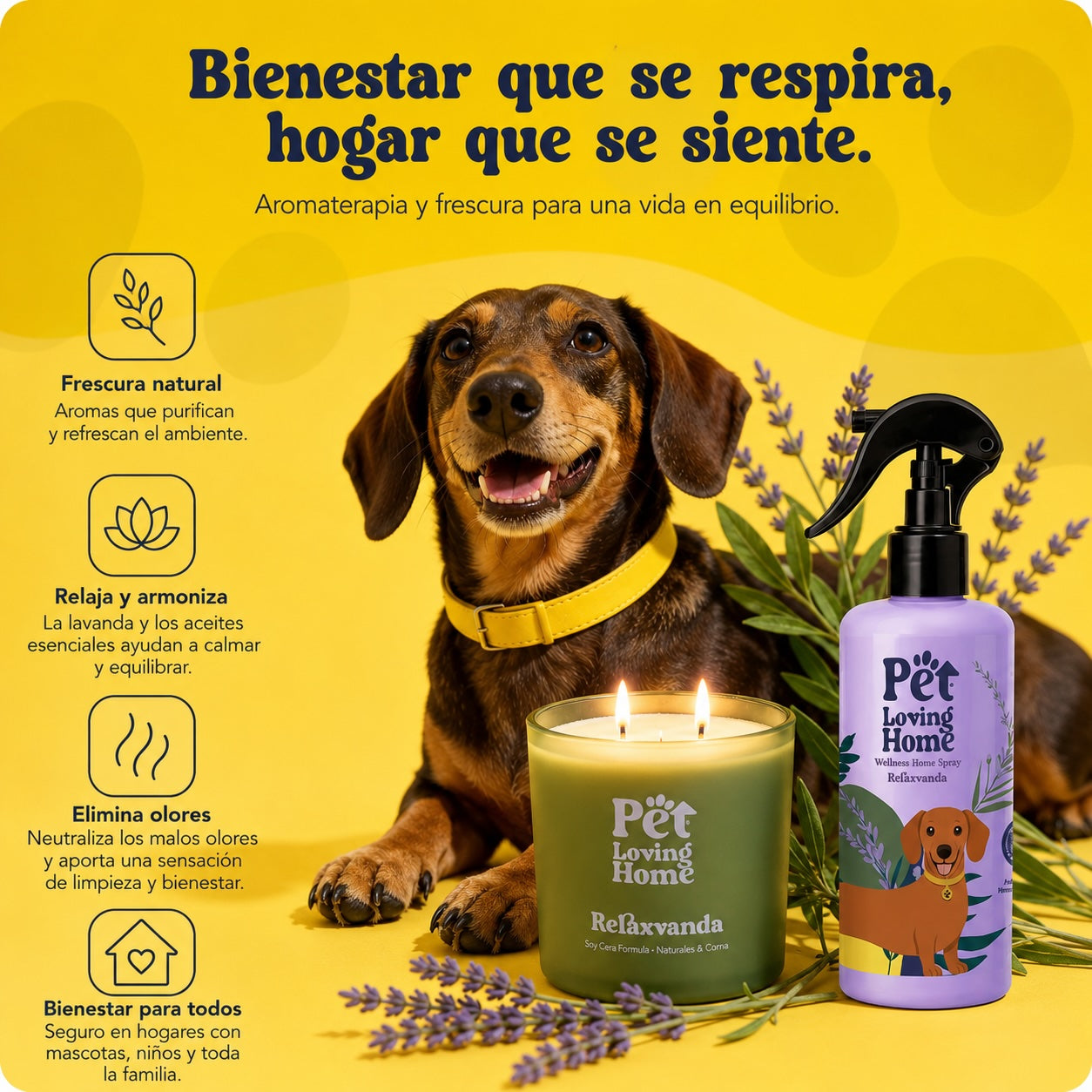 Pack Relaxvanda: bienestar que se respira