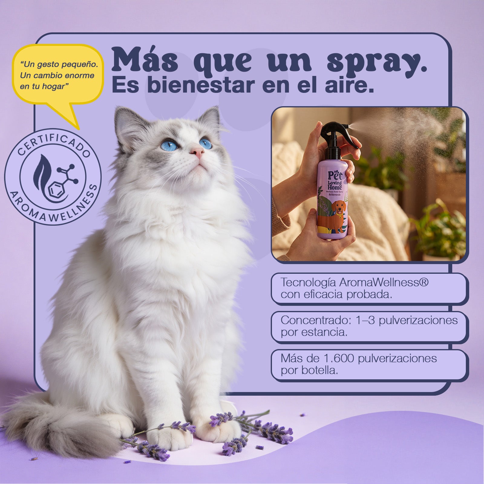 Home Spray Relaxvanda™