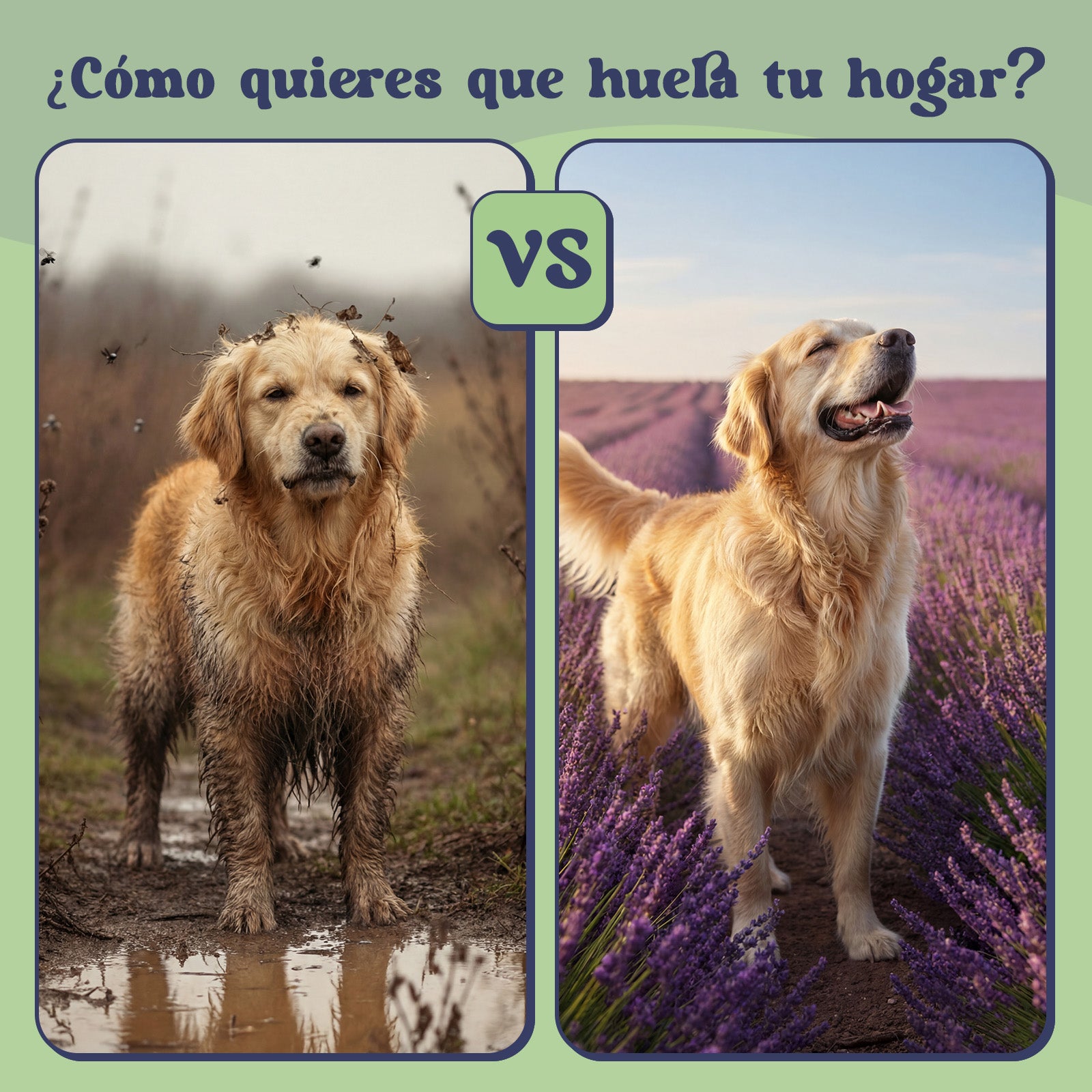 Vela aromática Relaxvanda™